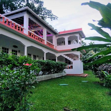 Polish Princess Guest House Port Antonio Exterior foto